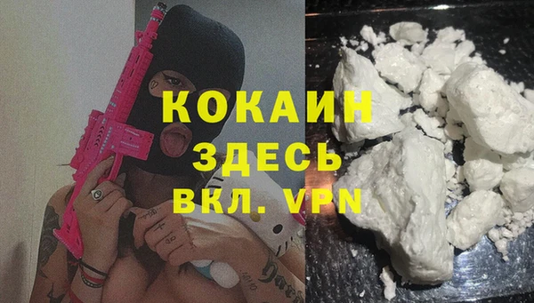 молекула духа Белоозёрский