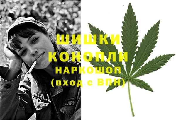 молекула духа Белоозёрский