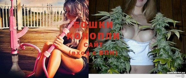 молекула духа Белоозёрский