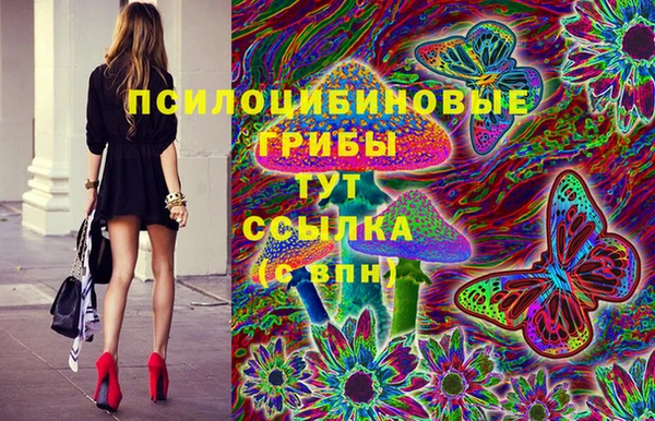 молекула духа Белоозёрский
