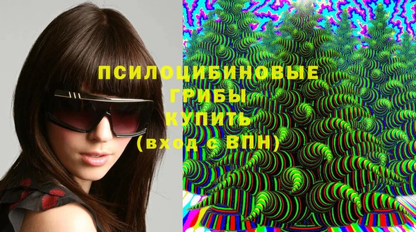молекула духа Белоозёрский
